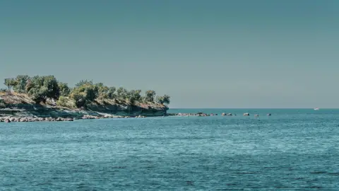 Follow Your Curiosity