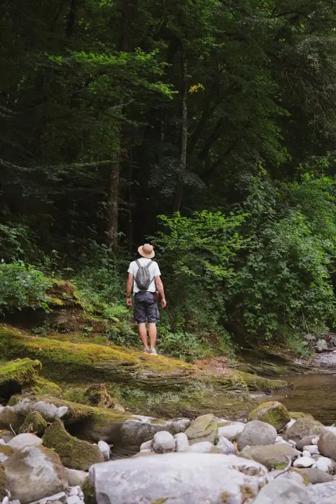 A guided walk through Westminster covers key sights
